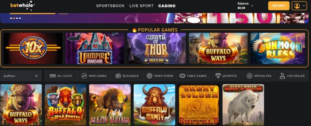 Safe Online Casino Betwhale Review 5